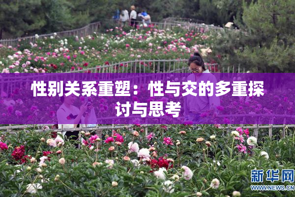 性别关系重塑：性与交的多重探讨与思考