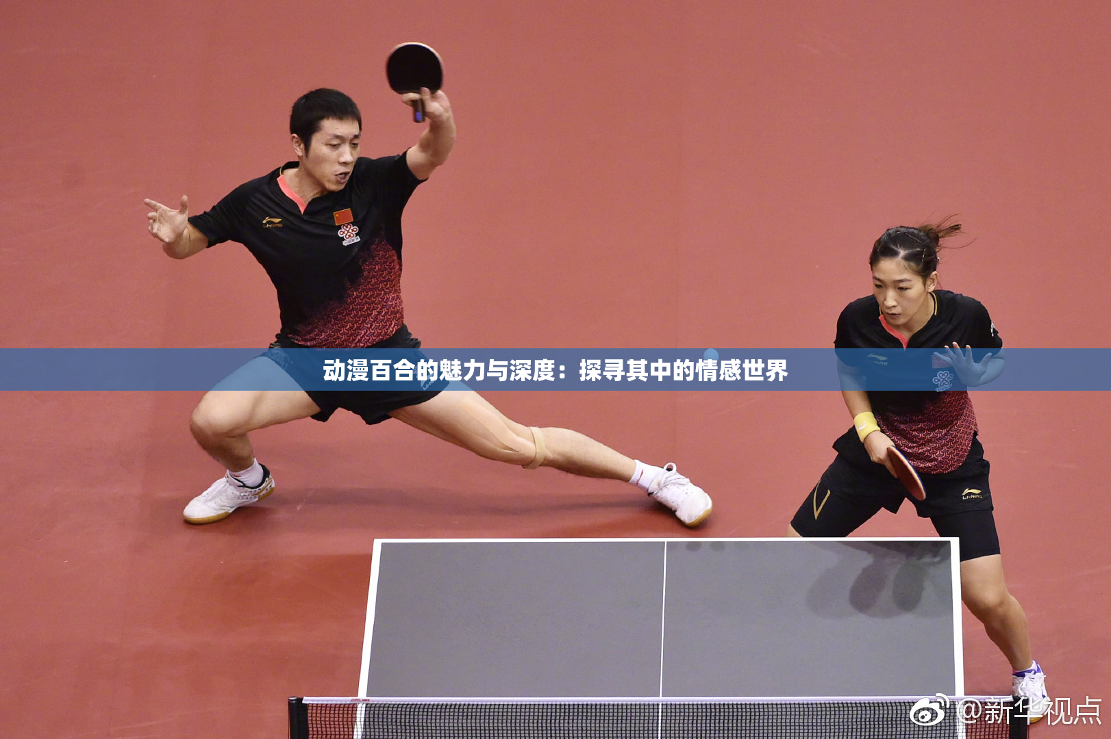 动漫百合的魅力与深度：探寻其中的情感世界
