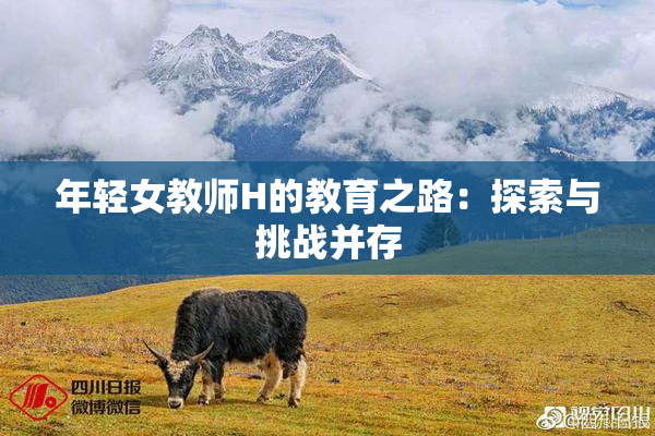 年轻女教师H的教育之路：探索与挑战并存