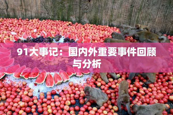 91大事记：国内外重要事件回顾与分析