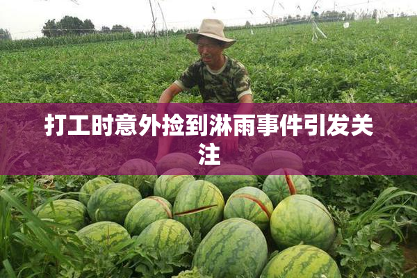打工时意外捡到淋雨事件引发关注