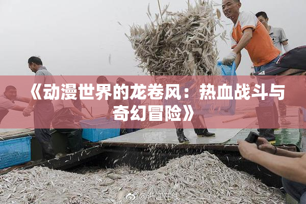 《动漫世界的龙卷风：热血战斗与奇幻冒险》