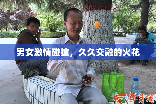 男女激情碰撞，久久交融的火花