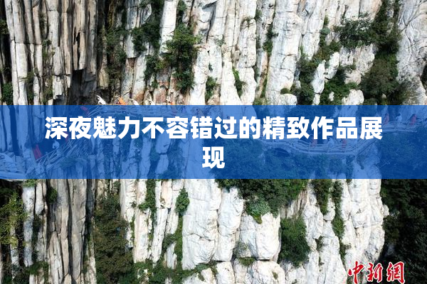 深夜魅力不容错过的精致作品展现