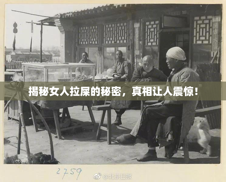 揭秘女人拉屎的秘密，真相让人震惊！