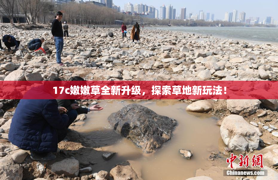17c嫩嫩草全新升级，探索草地新玩法！
