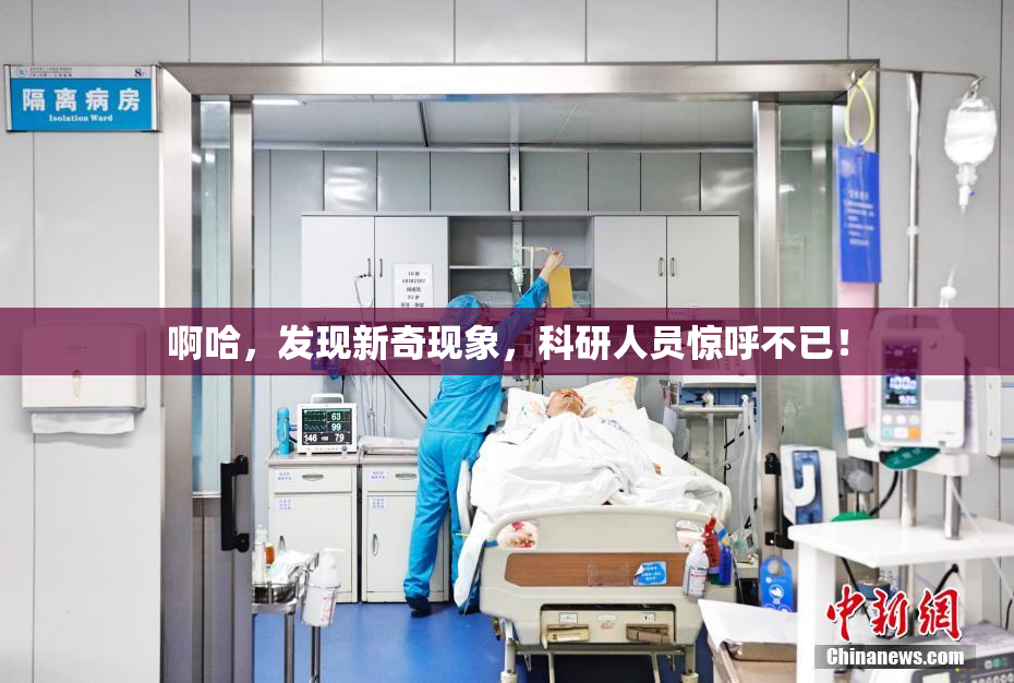 啊哈，发现新奇现象，科研人员惊呼不已！
