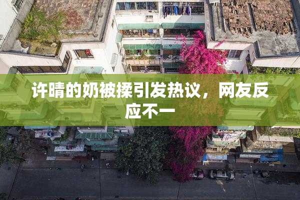 许晴的奶被揉引发热议，网友反应不一
