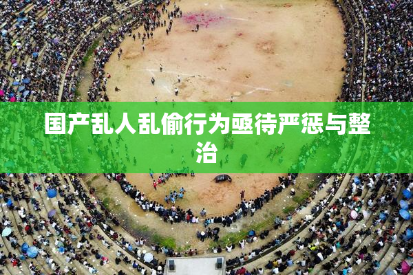 国产乱人乱偷行为亟待严惩与整治