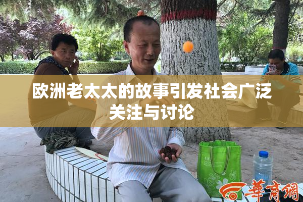 欧洲老太太的故事引发社会广泛关注与讨论