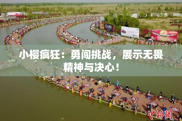 小樱疯狂：勇闯挑战，展示无畏精神与决心！