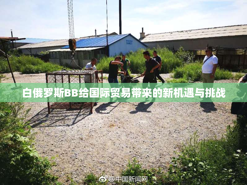 白俄罗斯BB给国际贸易带来的新机遇与挑战
