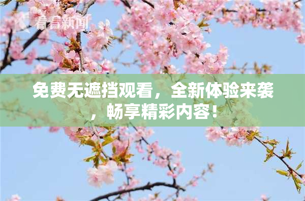 免费无遮挡观看，全新体验来袭，畅享精彩内容！
