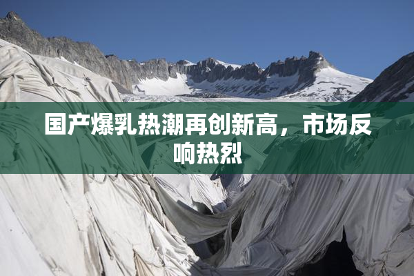 国产爆乳热潮再创新高，市场反响热烈