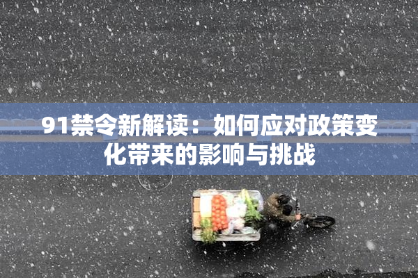 91禁令新解读：如何应对政策变化带来的影响与挑战