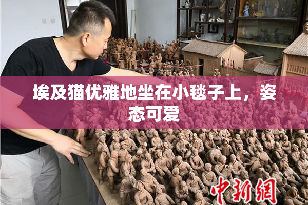 埃及猫优雅地坐在小毯子上，姿态可爱