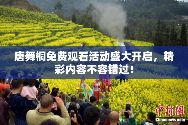 唐舞桐免费观看活动盛大开启，精彩内容不容错过！