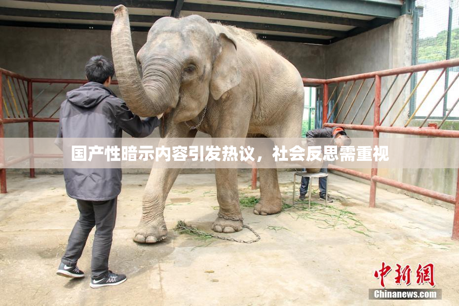国产性暗示内容引发热议，社会反思需重视