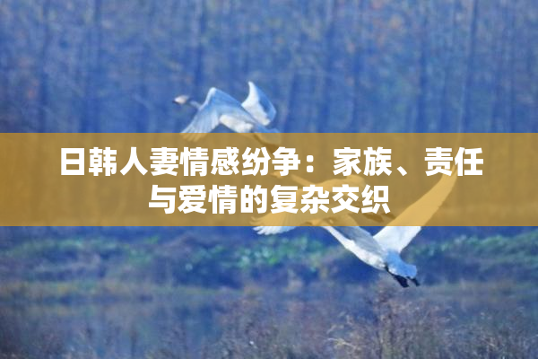 日韩人妻情感纷争：家族、责任与爱情的复杂交织