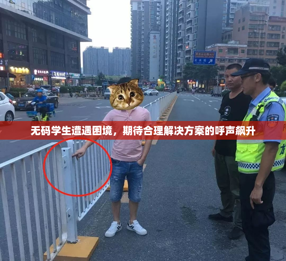 无码学生遭遇困境，期待合理解决方案的呼声飙升