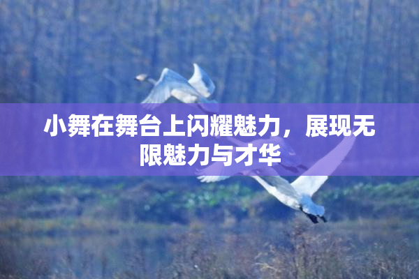 小舞在舞台上闪耀魅力，展现无限魅力与才华
