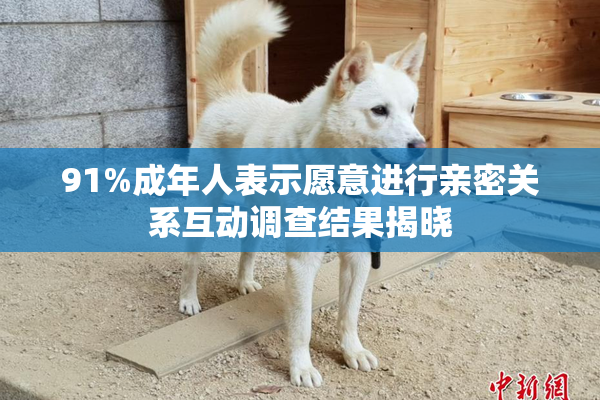 91%成年人表示愿意进行亲密关系互动调查结果揭晓