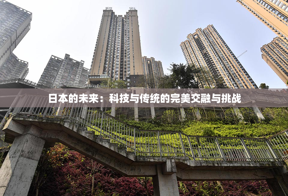 日本的未来：科技与传统的完美交融与挑战