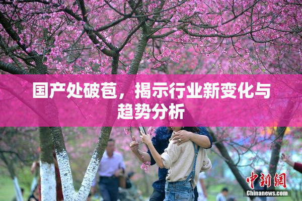国产处破苞，揭示行业新变化与趋势分析