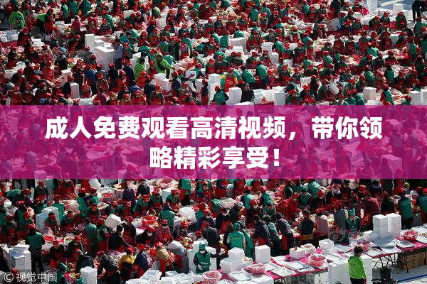 成人免费观看高清视频，带你领略精彩享受！