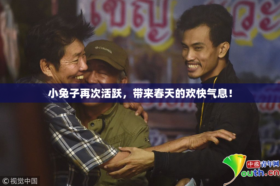 小兔子再次活跃，带来春天的欢快气息！