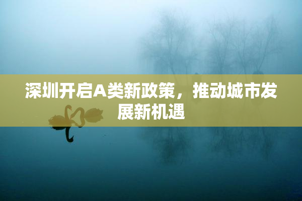 深圳开启A类新政策，推动城市发展新机遇