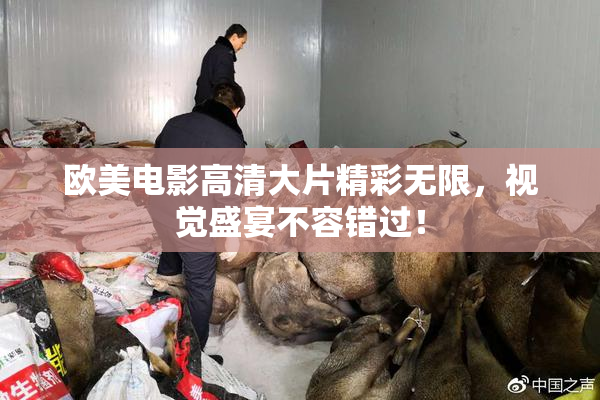 欧美电影高清大片精彩无限，视觉盛宴不容错过！