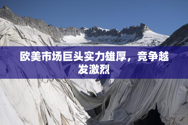 欧美市场巨头实力雄厚，竞争越发激烈