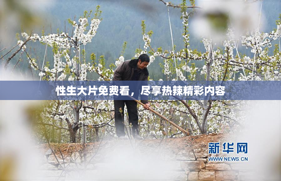 性生大片免费看，尽享热辣精彩内容