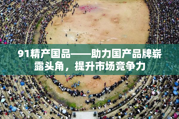 91精产国品——助力国产品牌崭露头角，提升市场竞争力