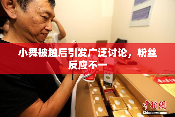 小舞被触后引发广泛讨论，粉丝反应不一
