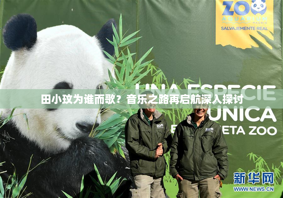 田小玟为谁而歌？音乐之路再启航深入探讨