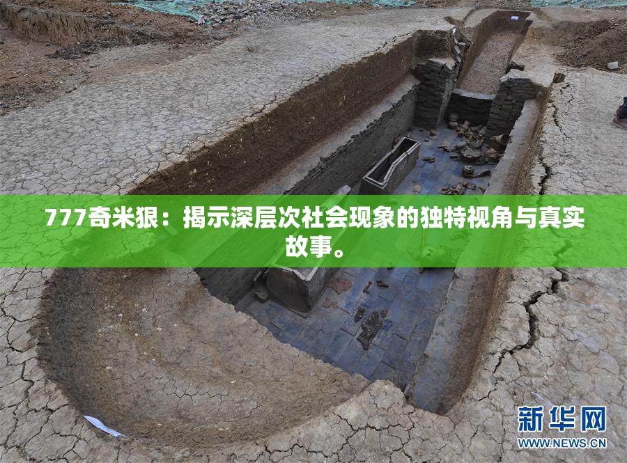 777奇米狠：揭示深层次社会现象的独特视角与真实故事。