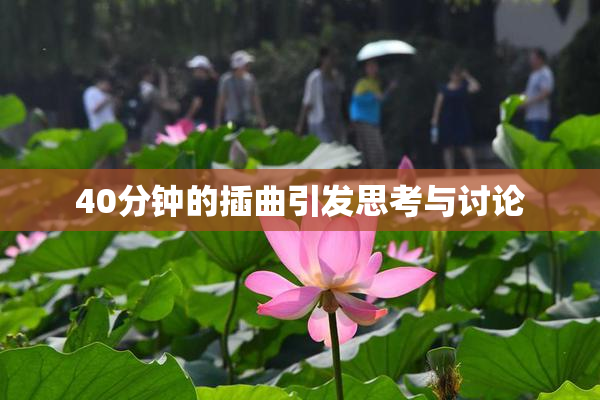 40分钟的插曲引发思考与讨论