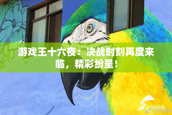 游戏王十六夜：决战时刻再度来临，精彩纷呈！