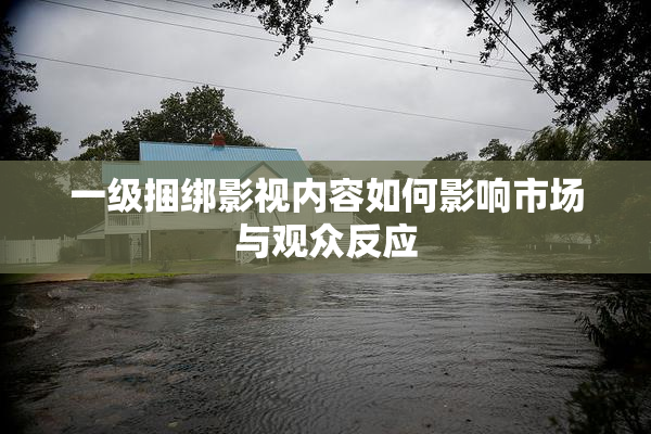 一级捆绑影视内容如何影响市场与观众反应