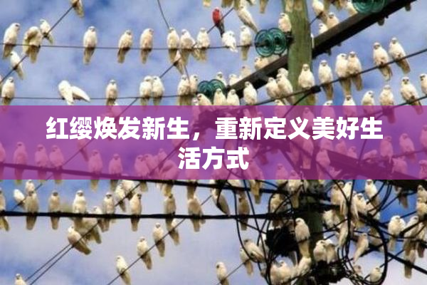红缨焕发新生，重新定义美好生活方式