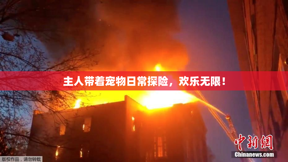 主人带着宠物日常探险，欢乐无限！