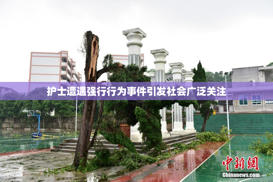 护士遭遇强行行为事件引发社会广泛关注