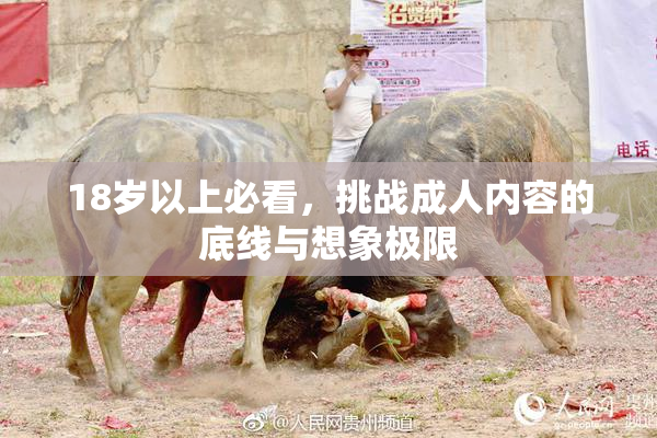 18岁以上必看，挑战成人内容的底线与想象极限