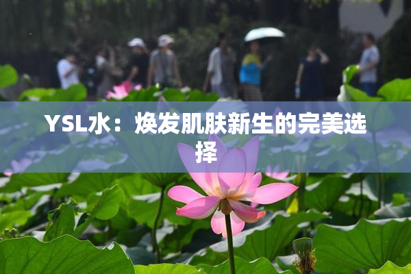 YSL水：焕发肌肤新生的完美选择