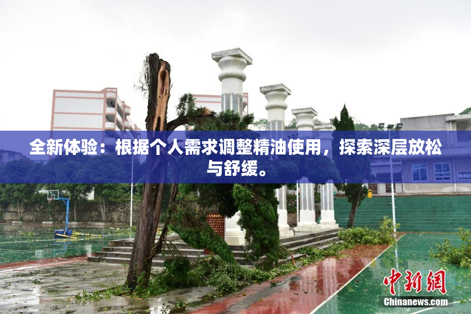 全新体验：根据个人需求调整精油使用，探索深层放松与舒缓。