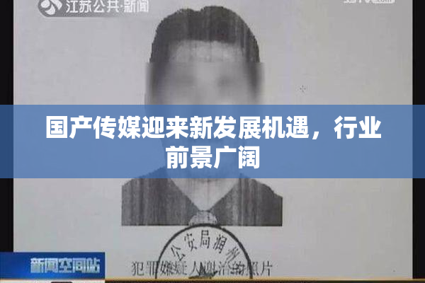 国产传媒迎来新发展机遇，行业前景广阔