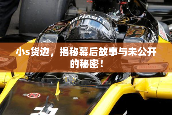 小s货边，揭秘幕后故事与未公开的秘密！
