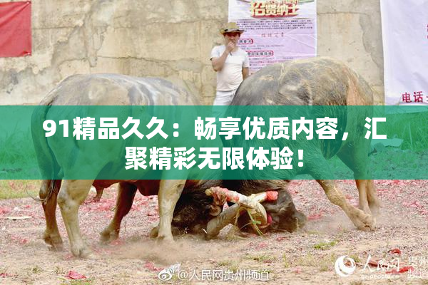 91精品久久：畅享优质内容，汇聚精彩无限体验！